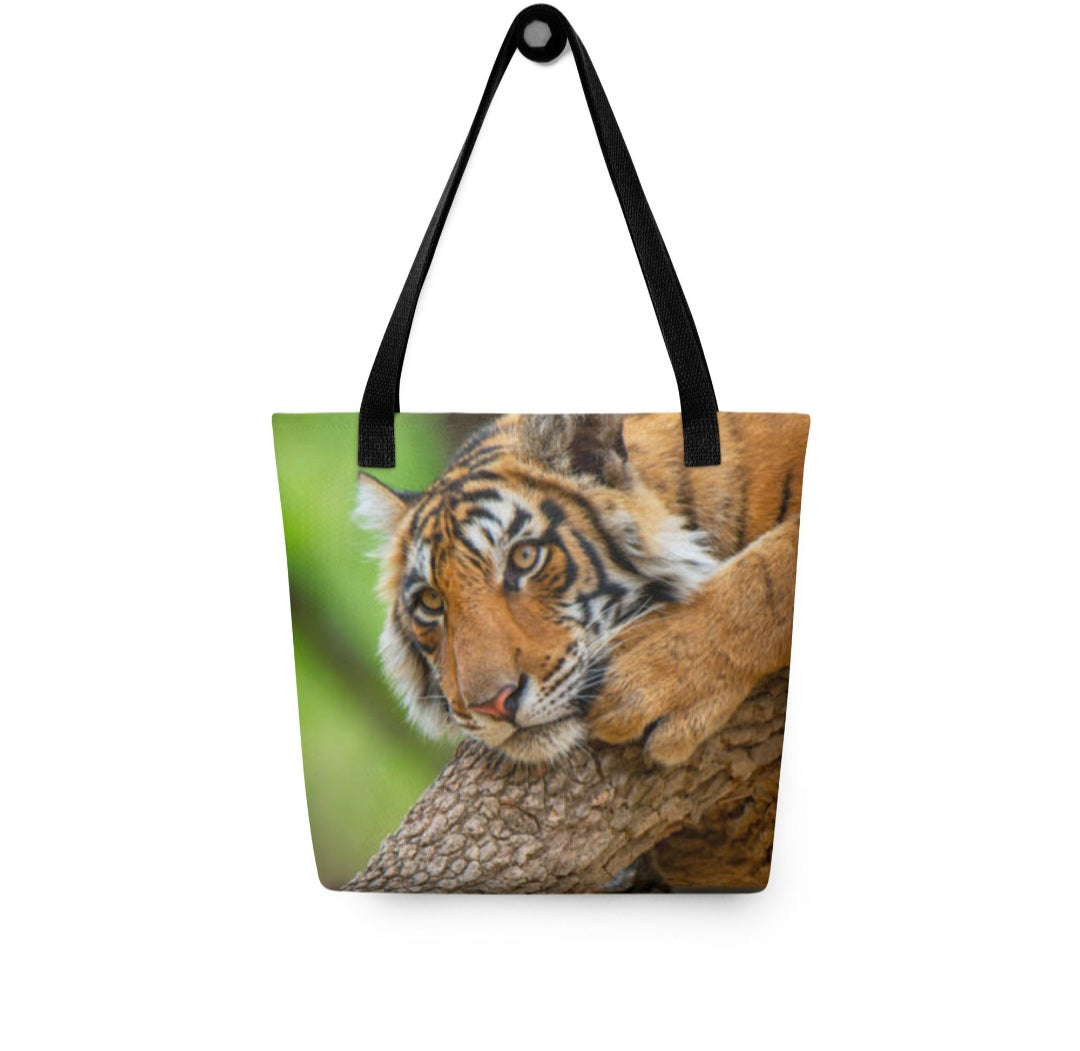 World Wildlife Day