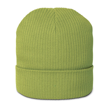 Organic antiallergic unisex green beanie