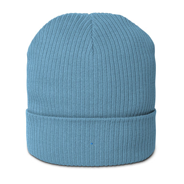 Organic antiallergic blue unisex beanie