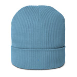 Organic antiallergic blue unisex beanie